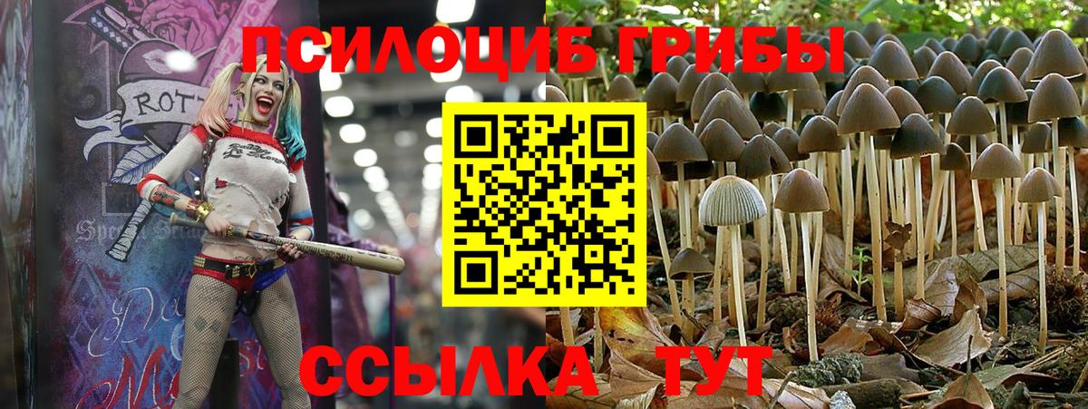 Зеленодольск  Псилоцибиновые грибы GOLDEN TEACHER  Вход с VPN 