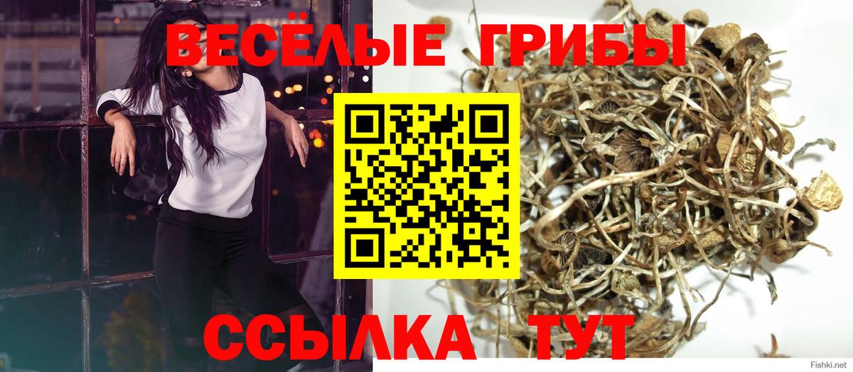 Псилоцибиновые грибы прущие грибы Зеленодольск